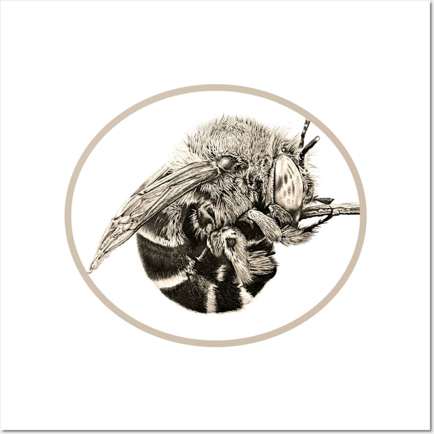 Curled Bee Taupe Wall Art by Wild Astra Designs